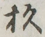 位置定マレル杉