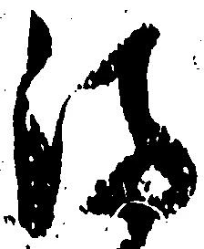 Located 満