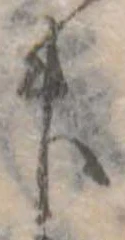 升 위치 확인됨