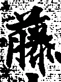 글자 藤