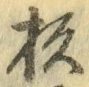 已定位杉