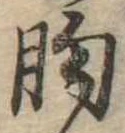 胸 위치 확인됨