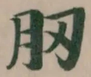 肕 위치 확인됨