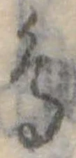 鳥 위치 확인됨