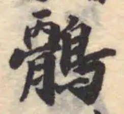 位置定マレル鶻