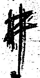 井 위치 확인됨