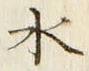 “水”字