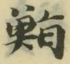 位置定マレル鮨