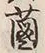 文字菌