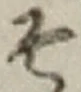 글자 そ