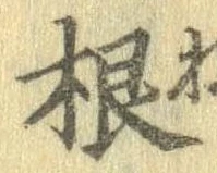 根 위치 확인됨
