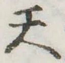 位置定マレル天