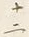 文字十