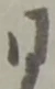 同 위치 확인됨