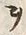 文字ヲ