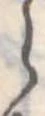 位置定マレル𛃰