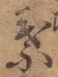 位置 確認된 葉