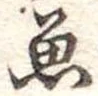 魚 위치 확인됨