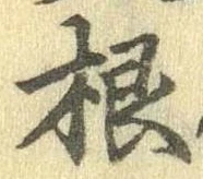 根 위치 확인됨
