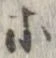 位置 確認된 等