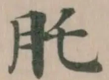 𦘴 위치 확인됨