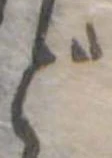 Đã định vị ど