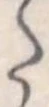 Đã định vị 𛁠