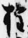 已定位権