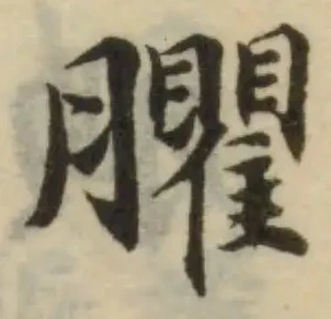 已定位臞