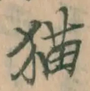 文字 猫