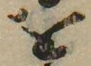 已定位𛄜