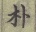 文字朴