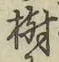 글자 樹