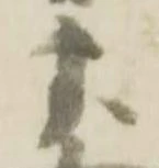 虎 위치 확인됨