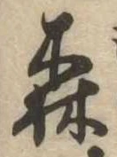 森 위치 확인됨