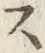 字ス