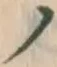 字ノ