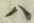 字ハ