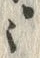 글자 ・