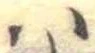 𛂞 위치 확인됨