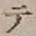 글자 テ