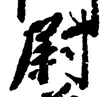 已定位尉