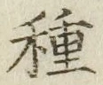글자 種