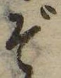 位置 確認된 ぞ