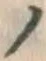 字ノ