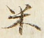 글자 米