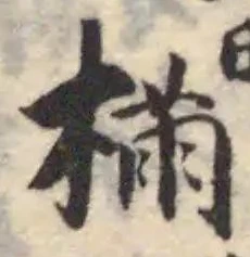 樠の位置