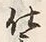 Chữ 仕