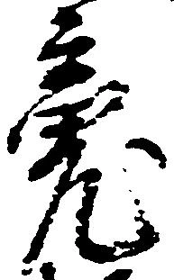 魂 위치 확인됨