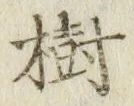 글자 樹
